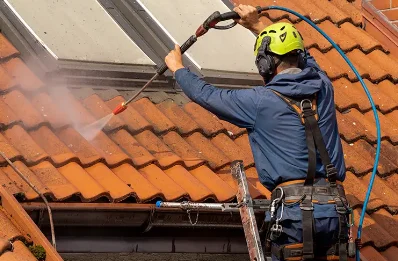 Démoussage et hydrofuge de toiture à Meilhaud